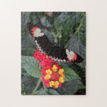 ピアノ主蝶パズル