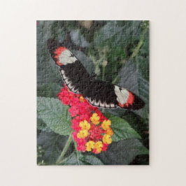 ピアノ主蝶パズル ジグソーパズル