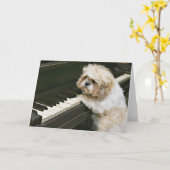 ピアノ奏者 カード (黄色い花)