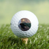 ピアノ奏者(ピアニスト)(女子ミュージシャン) ゴルフボール (インサイチュ 木)