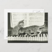 ピアノ遊キーボードの子猫2匹(B&W) ポストカード (正面/裏面)