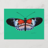 ピアノ鍵絵を描バタフライズブラック、レッドウィング ポストカード (正面)