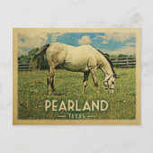 ピアランドテキサス州ホースファーム – ヴィンテージトラベル ポストカード (正面)