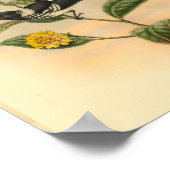 ピアンフライキャッチャーブラックバードヴィンテージプリント ポスター (角)