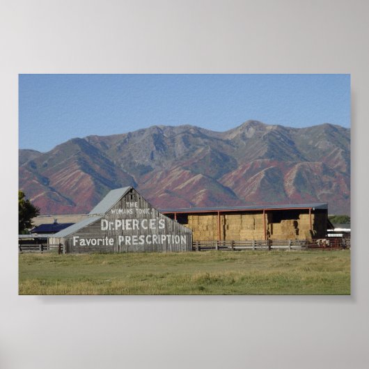 ピアース・バーン博士 ポスター (正面)