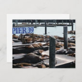 ピア39シーライオンズ (正面/裏面)