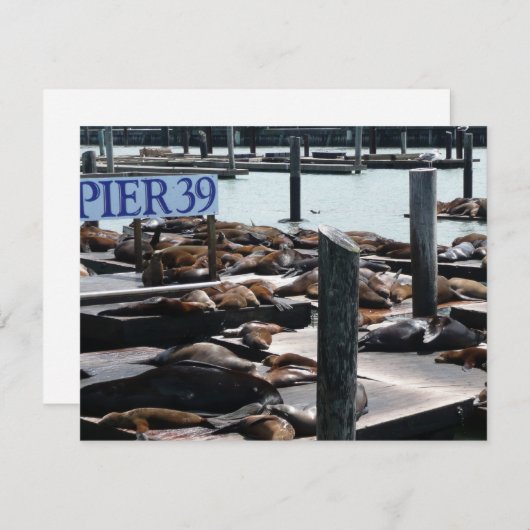 ピア39シーライオンズ (正面/裏面)