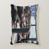 ピア39シーライオンズ アクセントクッション (正面(垂直))