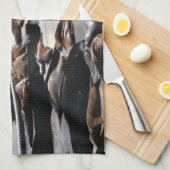 ピア39シーライオンズ キッチンタオル (四つ折り)