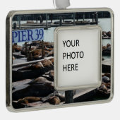 ピア39シーライオンズ シルバープレートフレームオーナメント (右)