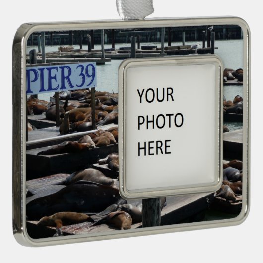 ピア39シーライオンズ シルバープレートフレームオーナメント (右)