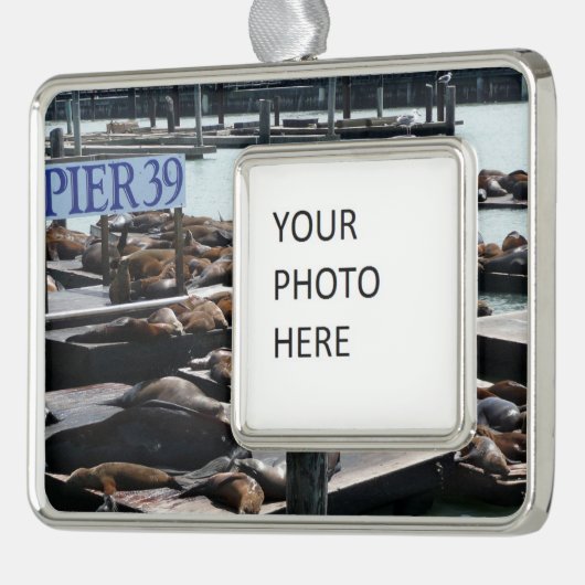 ピア39シーライオンズ シルバープレートフレームオーナメント (左)