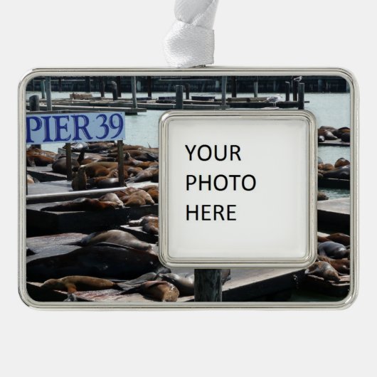 ピア39シーライオンズ シルバープレートフレームオーナメント (正面)