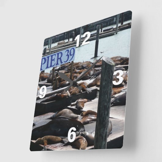 ピア39シーライオンズ スクエア壁時計 (傾斜)
