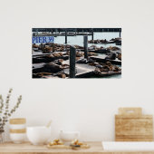 ピア39シーライオンズ ポスター (キッチン)