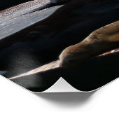 ピア39シーライオンズ ポスター (コーナー)