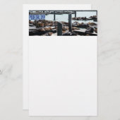 ピア39シーライオンズ 便箋 (正面/裏面)