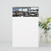 ピア39シーライオンズ 便箋 (スタンド正面)