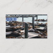 ピア39シーライオンズ 名刺 (裏面)