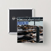 ピア39シーライオンズ 缶バッジ (正面&裏面)