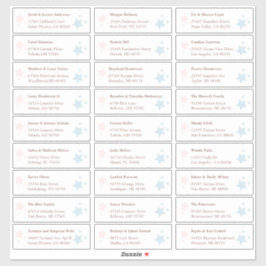 ピインクアンドブルースターズゲスト住所 シール