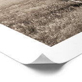 ピエガンブラックフット首長 ポスター (角)