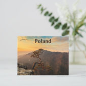 ピエニアンポーランドの木 ポストカード (スタンド正面)