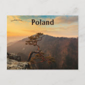 ピエニアンポーランドの木 ポストカード (正面)