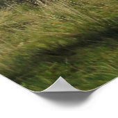 ピエニイ ポスター (角)