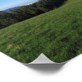 ピエニイ ポスター (角)