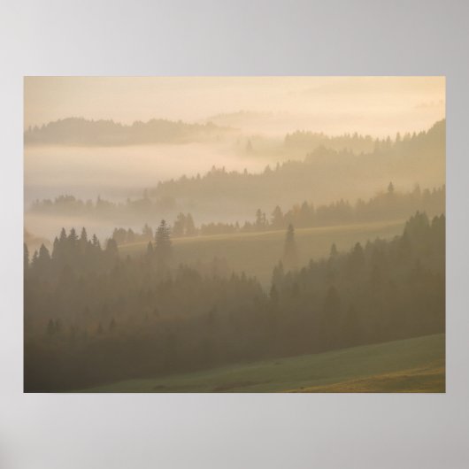 ピエニニー霧 ポスター (正面)