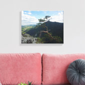 ピエニニー・ソコリカ キャンバスプリント (インサイチュ (リビング))