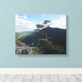 ピエニニー・ソコリカ キャンバスプリント (インサイチュ (ウッドフロア))