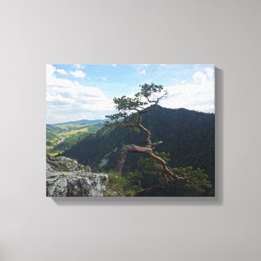 ピエニニー・ソコリカ キャンバスプリント (正面)