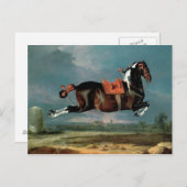 ピエバルウマ「セヒーロ」の飼育 ポストカード (正面/裏面)