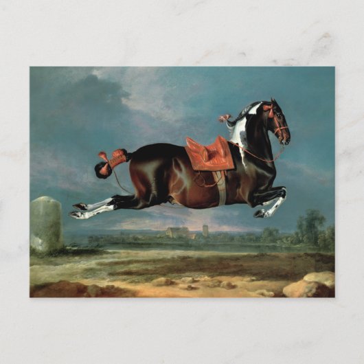 ピエバルウマ「セヒーロ」の飼育 ポストカード (正面)