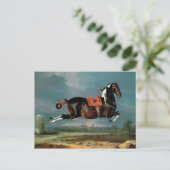 ピエバルウマ「セヒーロ」の飼育 ポストカード (スタンド正面)