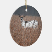 ピエバルディアフォトオーナメント セラミックオーナメント (右)