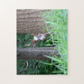 ピエバルドバックパズル ジグソーパズル (縦)