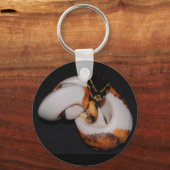 ピエボルドボールパイソン キーホルダー (正面)