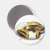 ピエボルドボールパイソン マグネット (正面/裏面)