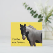 ピエボルド絵を描ポニー ポストカード (スタンド正面)