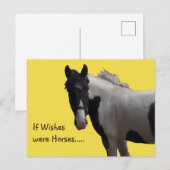 ピエボルド絵を描ポニー ポストカード (正面/裏面)