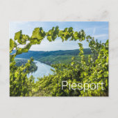 ピエポートモセルブドウヴィンテージつる植物お土産 シーズンポストカード (正面)