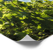 ピエポートモセルブドウヴィンテージつる植物お土産 ポスター (角)