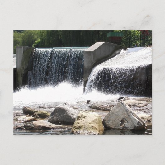 ピエラクタル001 ポストカード (正面)