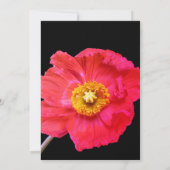 ピエレガントッモダンク黒ポピーフローラ結婚ズ (裏面)