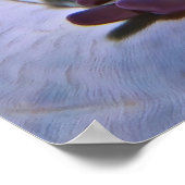 ピエロとエビ ポスター (角)