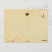 ピエロとオダマキ（植物） ポストカード (裏面)