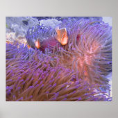 ピエロのまわりにン ポスター (正面)